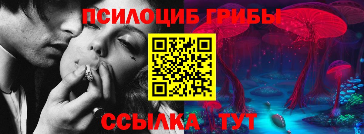Псилоцибиновые грибы Magic Shrooms Елизово